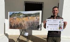 Pedro Menez de Apedrete consigue el primer premio de pintura de la II edición del Encuentro de Pintores