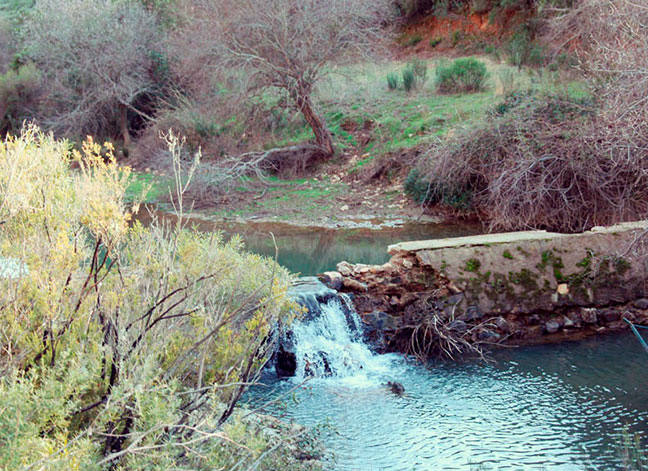 Más de 15 litros han caído en las últimas 24 horas en Herrera del Duque