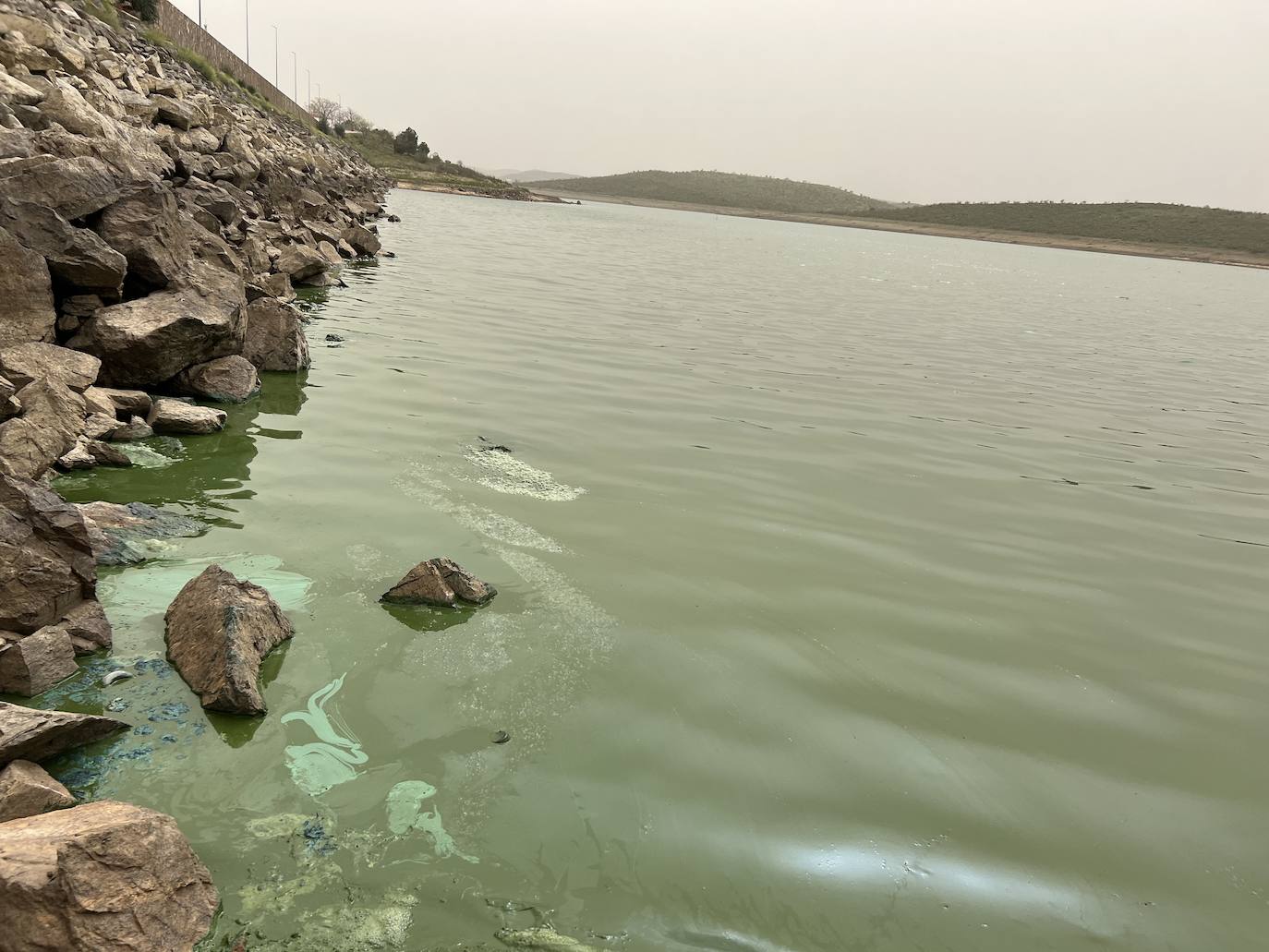 Las algas del agua de la Presa de los Molinos hacen peligrar el suministro de agua al municipio hornachego