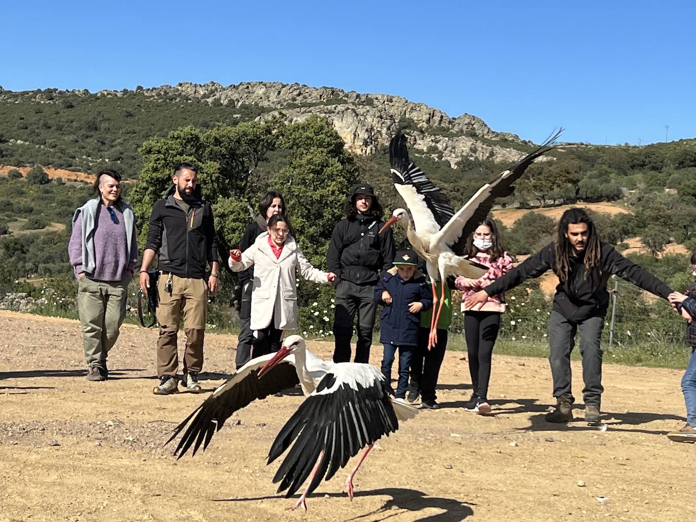 AMUS libera en la Sierra Grande cinco ejemplares de aves curadas en su Hospital de Fauna Salvaje