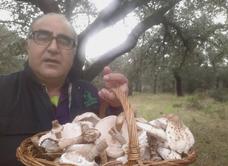 José Luis Gómez Carrasco, presidente de la Sociedad Micológica «Sierras de Hornachos»……., Hornachos tiene una naturaleza mágica, y para los amantes de la micología un «microclima» único.