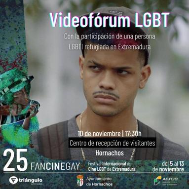 El Ayuntamiento se suma a la red Fancinegay con un Videofórum