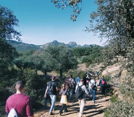 Nuevas actividades de la Sociedad Micoógica «Sierras de Hornachos» para este próximo fin de semana