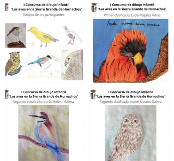 Fallado el Concurso de dibujo infantil sobre «Las aves de la Sierra de Hornachos»