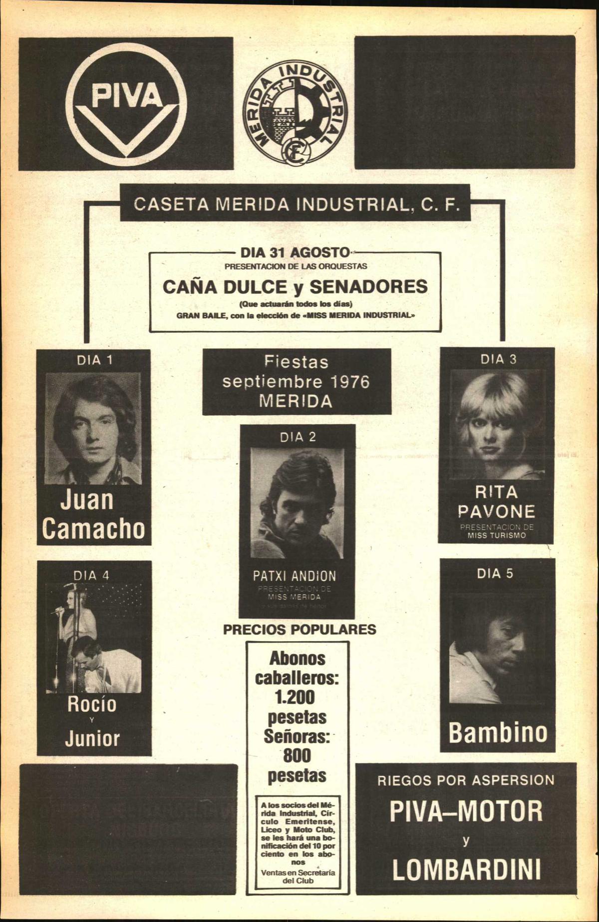 Página 6