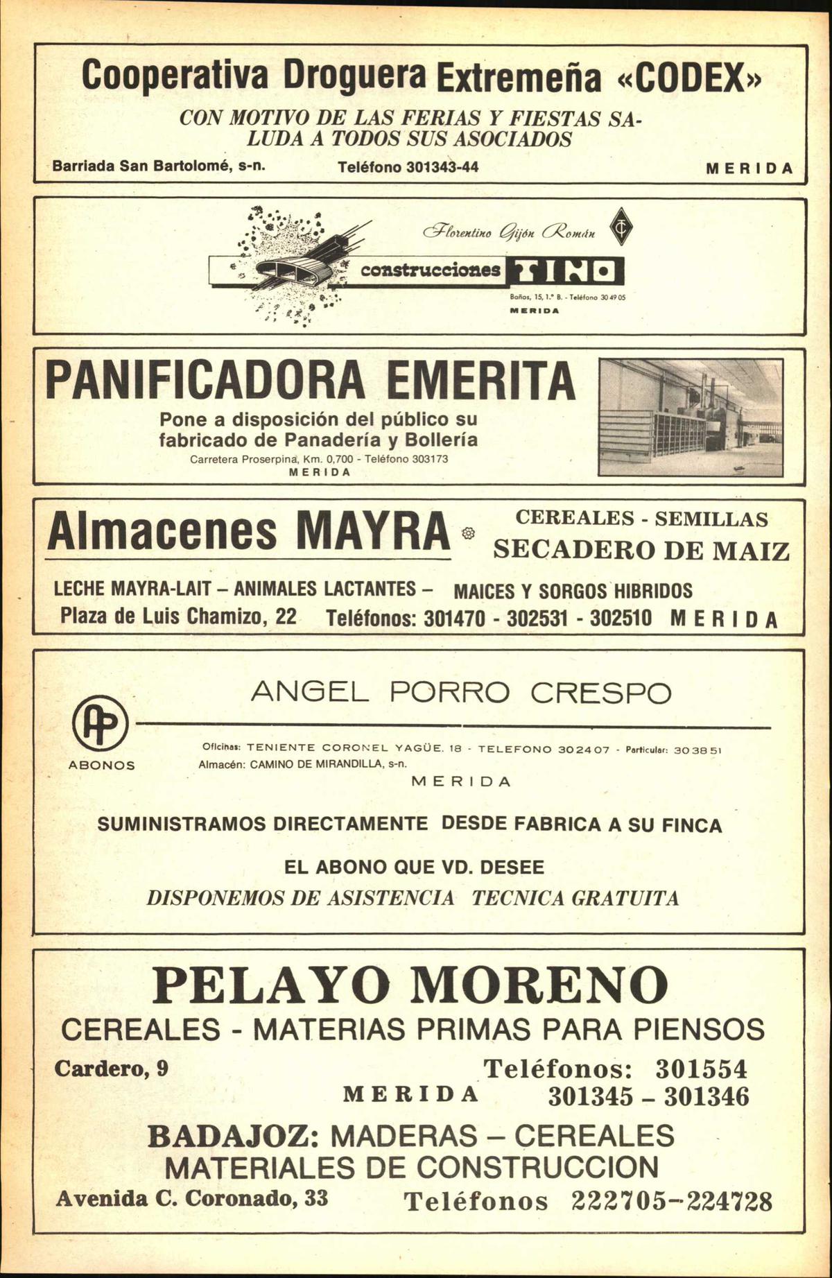 Página 26