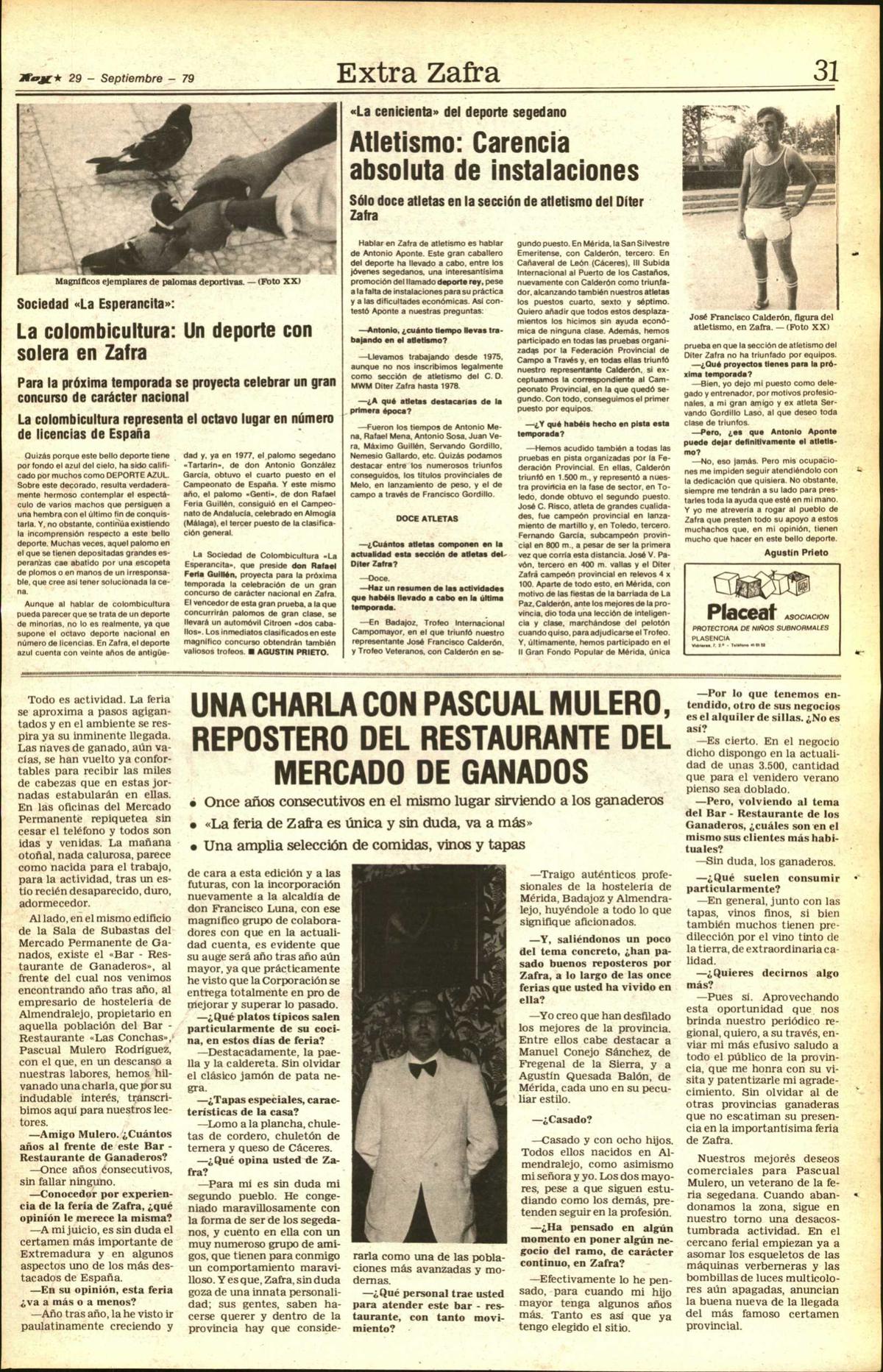 Página 31