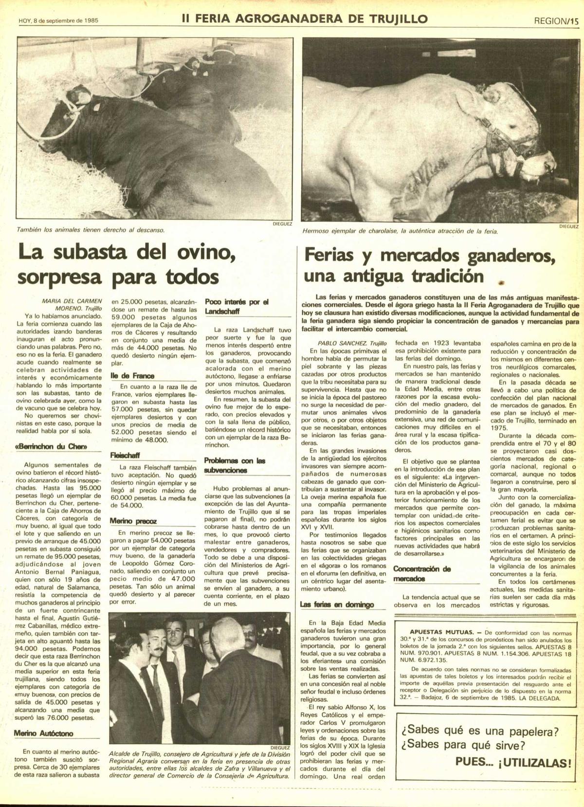 Página 15