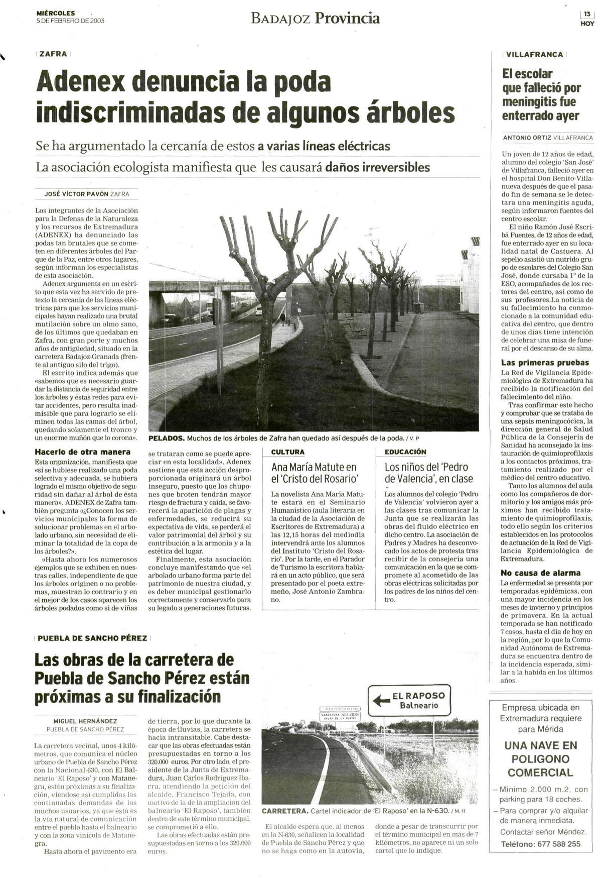 Página 13