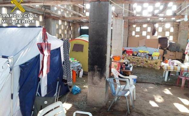 Sorprenden a tres menores de 7, 12 y 15 años trabajando en una explotación de La Vera