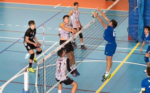 Pleno de victorias del Voleibol Jaraíz este fin de semana