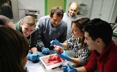 Los alumnos del Centro de Adultos aprenden a diseccionar los órganos del cerdo