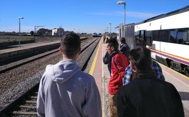 El Talgo Badajoz-Madrid arrolla a un rebaño de ovejas entre Navalmoral y Oropesa