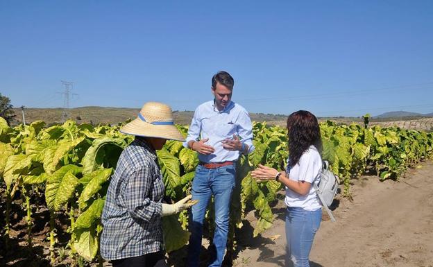 Convocan tres cursos de formación agraria para mujeres