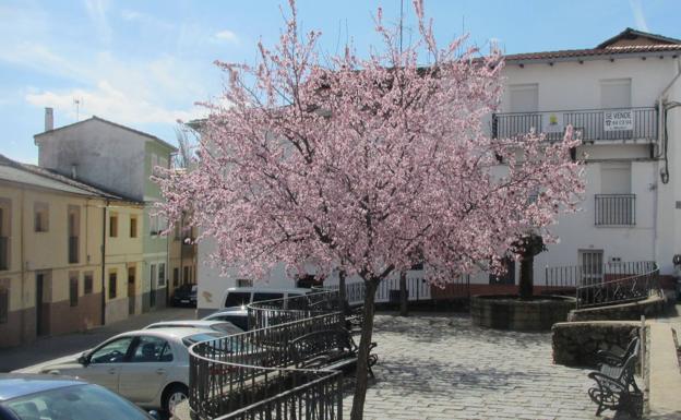 La floración de los árboles y frutales colorea Jaraíz