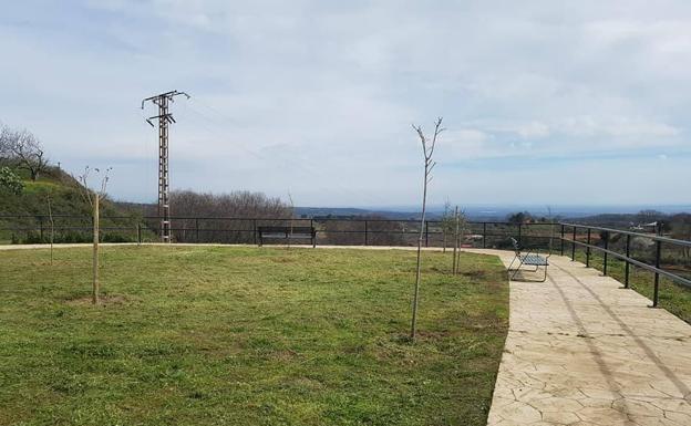 El Ayuntamiento arregla varias zonas verdes del casco urbano