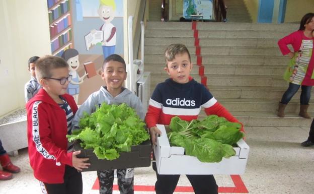 El huerto escolar del colegio Gregoria Collado empieza a dar sus primeros frutos