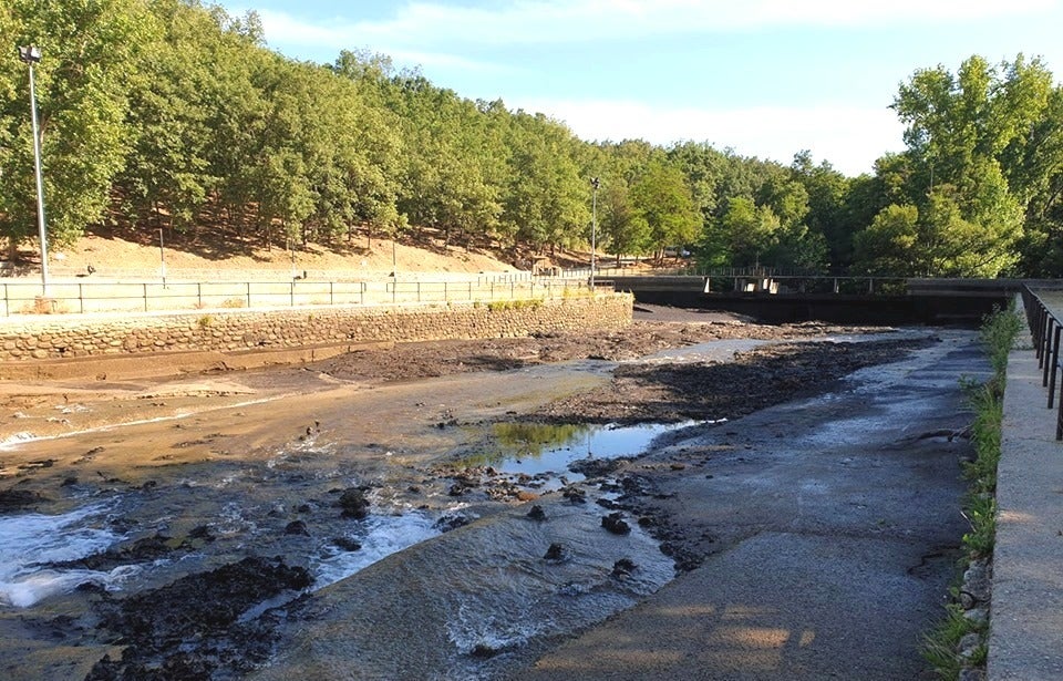 Comienzan los trabajos de limpieza en el complejo turístico del Lago
