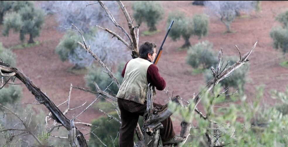 La despoblación de la provincia cacereña hace disminuir las licencias de caza