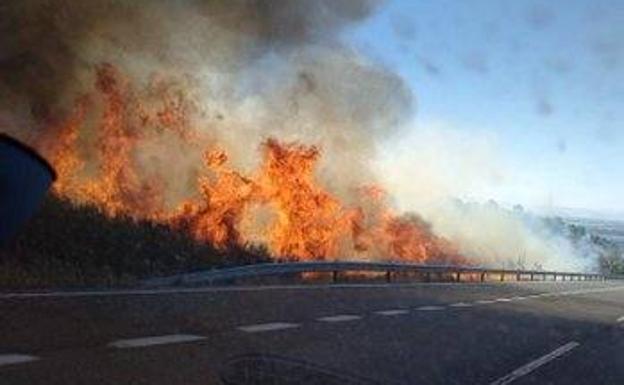 El Infoex sofoca un incendio forestal en Jaraíz