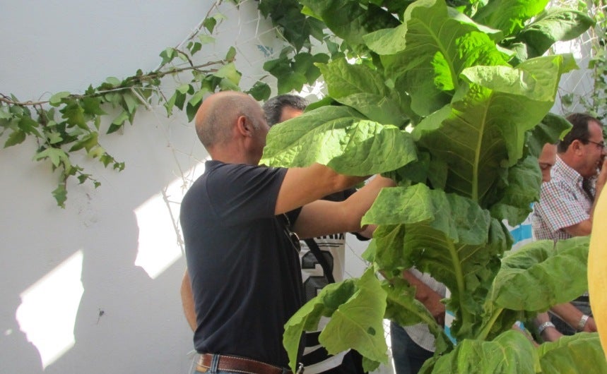 El certamen agrícola de ferias alcanza la edición número 46