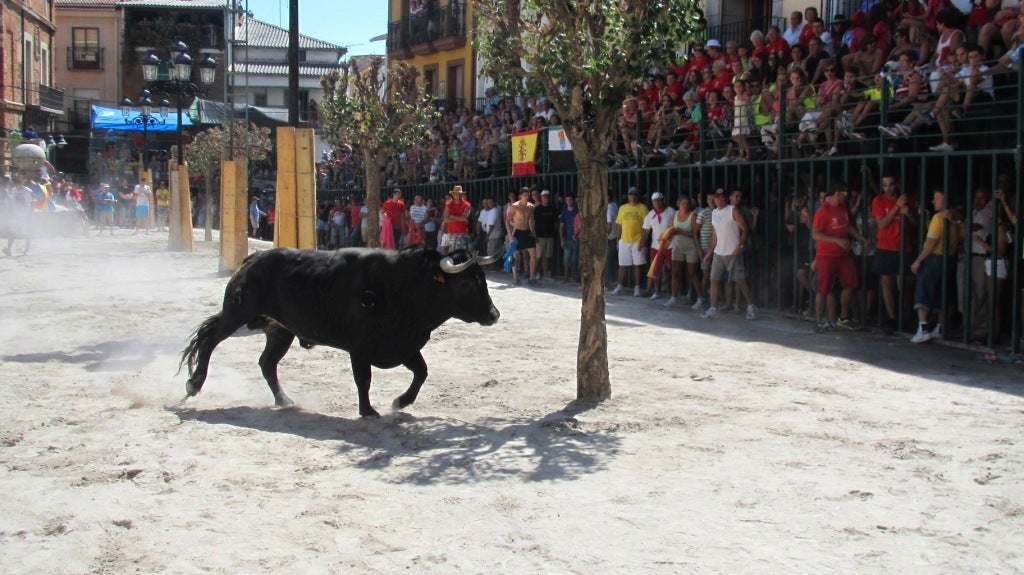 Jaraíz vive intensamente las ferias y fiestas del Tabaco y Pimiento