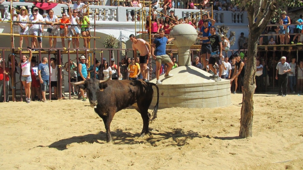 Capeas, encierros, pasacalles, concierto y fuegos artificiales para despedir las ferias agosteñas