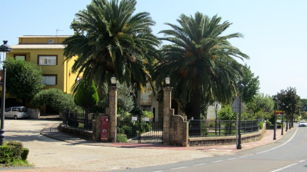 Desinfectan el palmeral del santuario de la Patrona para combatir al picudo rojo