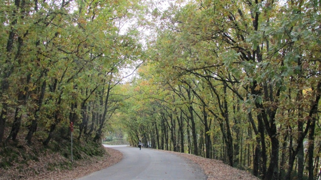El término municipal de Jaraíz cuenta con varios tramos de carreteras paisajísticas