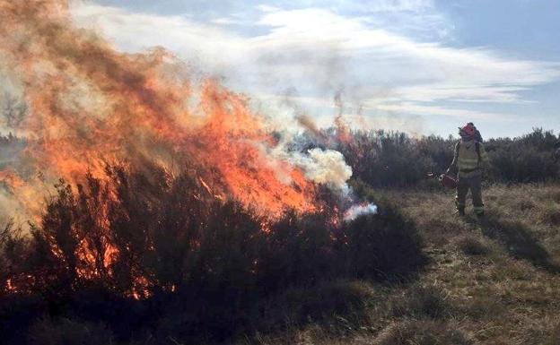 El Infoex realiza quemas controladas en la Sierra de Gredos para impedir fuegos