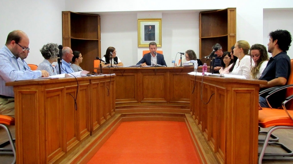 Primer pleno municipal ordinario de 2020