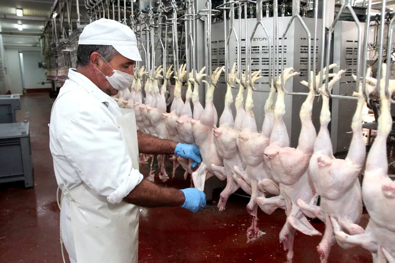 El grupo holandés Plukon compra la industria avícola extremeña Veravic