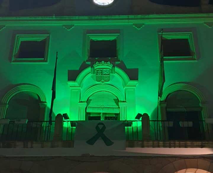 La Casa Consistorial luce el lazo e iluminación verde