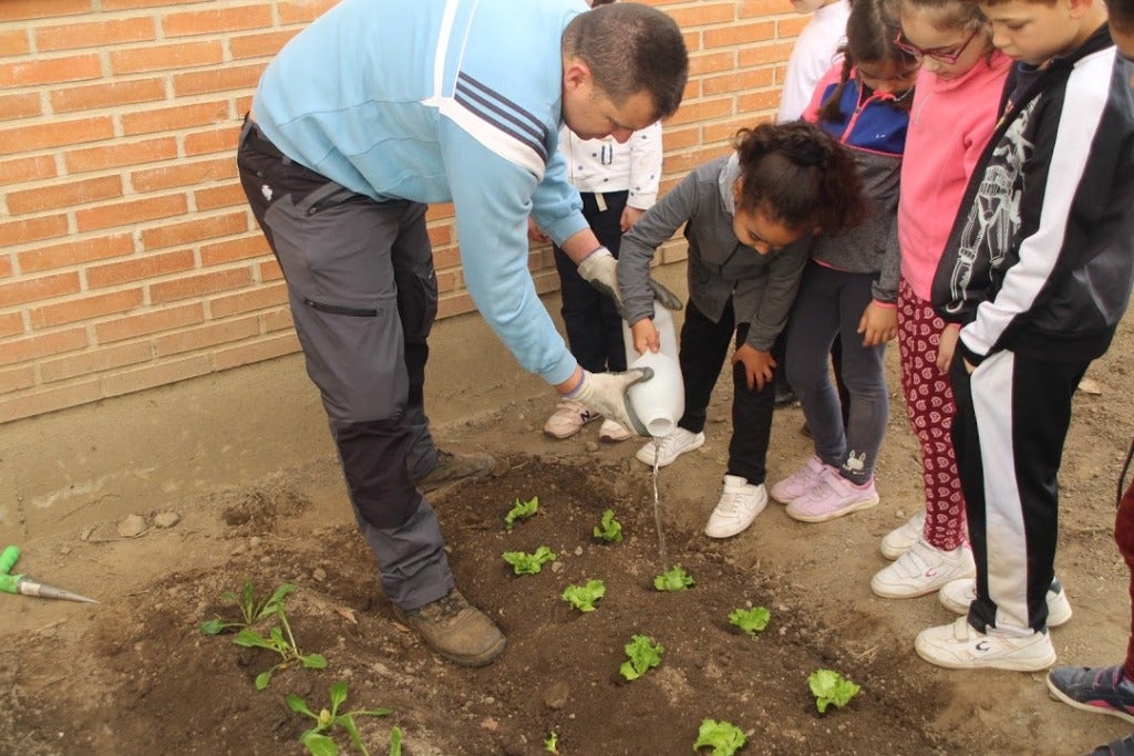 El Gregoria Collado pone en marcha el huerto escolar