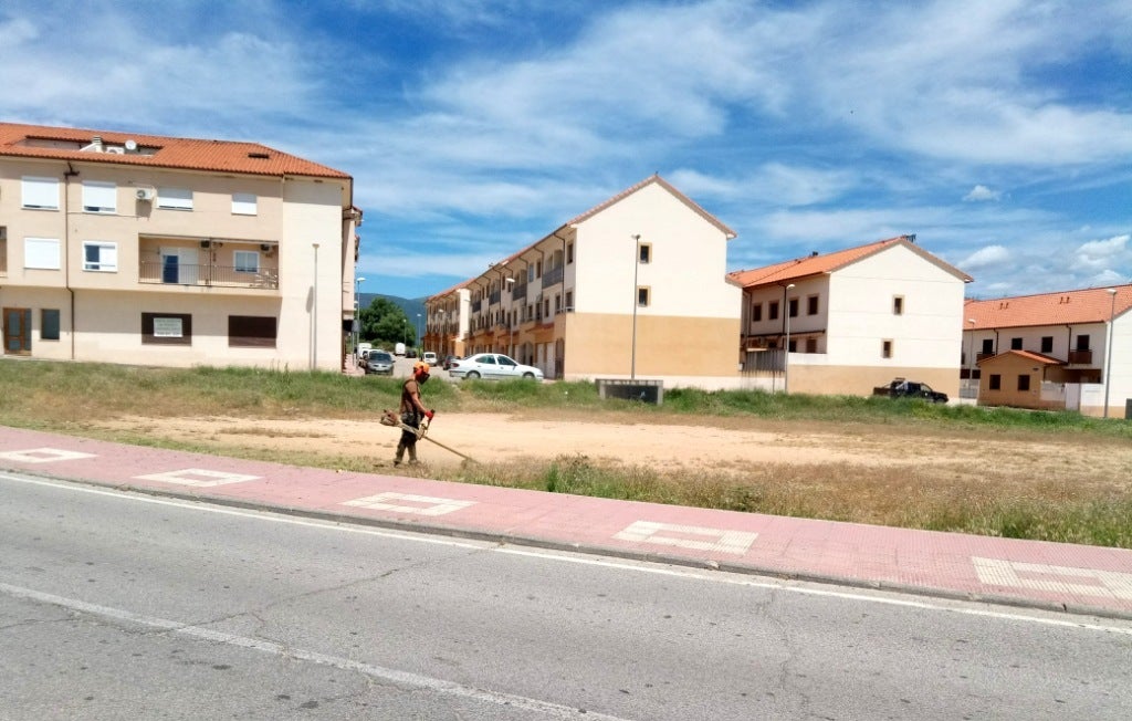 Desbroce de los espacios públicos de cara a la prevención de incendios