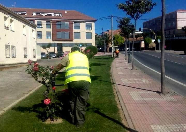 Ayudas para el mantenimiento y recuperación del empleo en La Vera