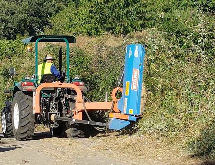 Desbroce de las cunetas de los caminos rurales del término municipal