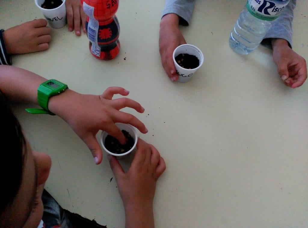 Programa de ocio infantil y juvenil 'Diviértete en Extremadura'
