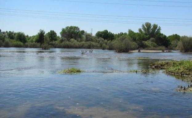 Ingresa en la UCI la joven que fue rescatada en el río Tiétar por agentes de la Guardia Civil