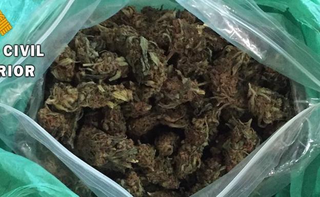 Detienen a un vecino de Talayuela que llevaba 171 gramos de cogollos de marihuana en su vehículo