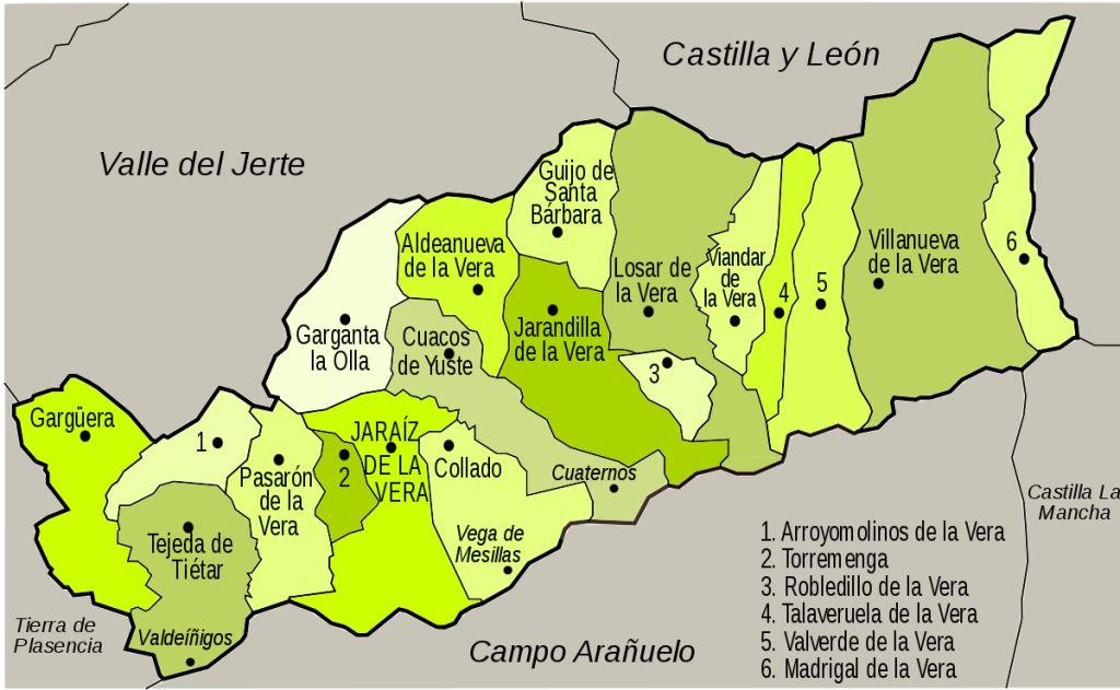 Sanidad notifica 9 positivos en Jarandilla, 7 en Jaraíz, 2 en Talaveruela y 1 en Valverde