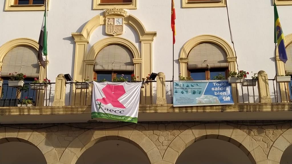 Hoy, marcha rosa virtual