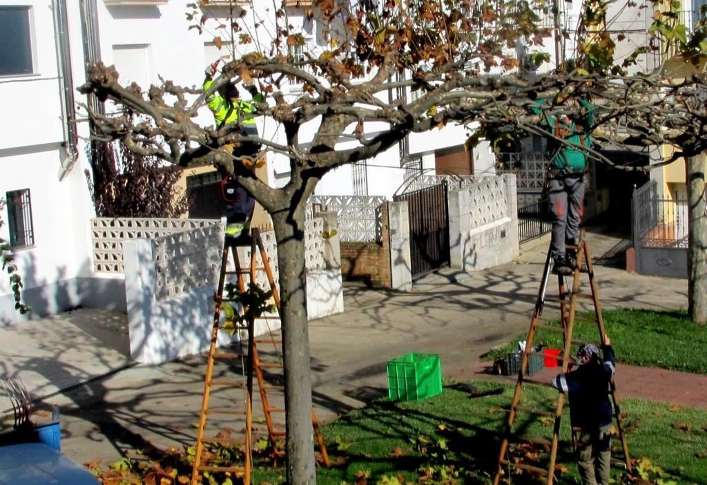 Convocadas las pruebas para las plazas de jardinería, mantenimiento y Policía Local