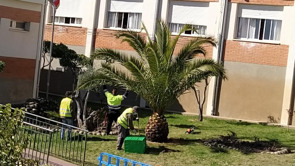 EL Ayuntamiento contratará a diez personas con cargo al Plan de Empleo de 2021
