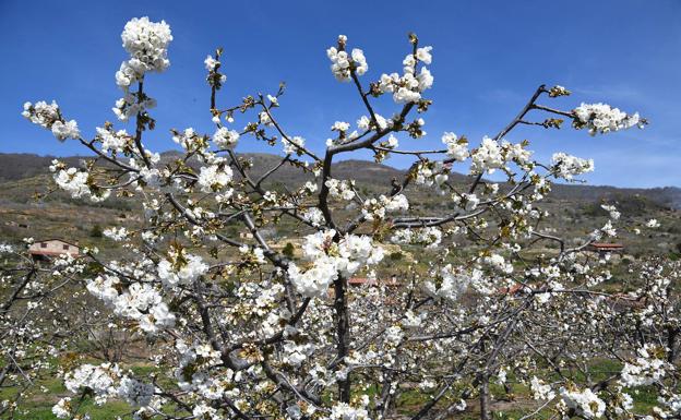 Jaraíz de la Vera: multitud de alternativas para disfrutar la Semana Santa en familia
