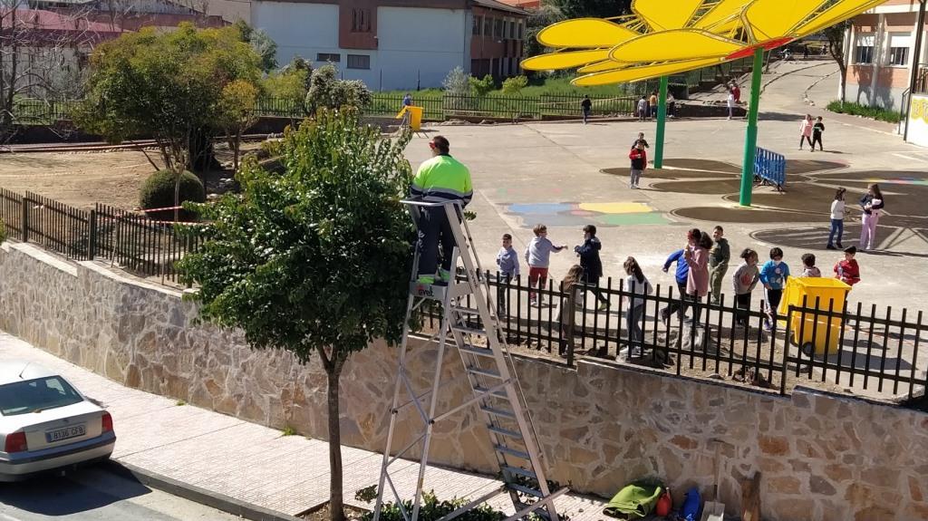 Bolsa de trabajo temporal para peones de albañilería, jardinería y fontanería