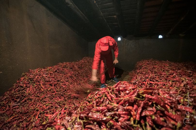 La Junta convoca las ayudas para el secado de pimientos para pimentón