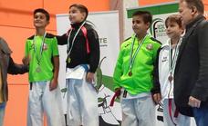 El Club de Karate Jaraíz logra 10 medallas en el Campeonato de Extremadura y en el de Promoción