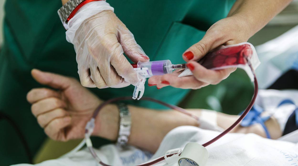Este viernes, extracciones de sangre en Jaraíz