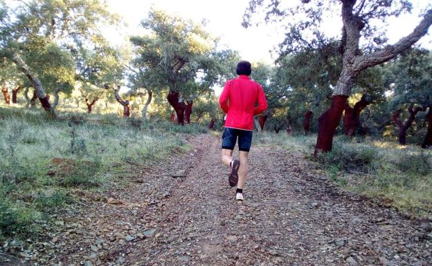 Abierto el plazo de inscripción para el I Trail Jerez de los Caballeros 'Sierra San José'